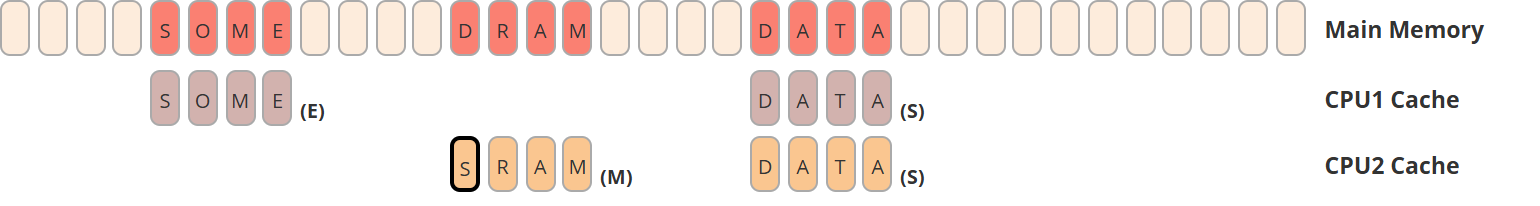 主存与 CPU 缓存